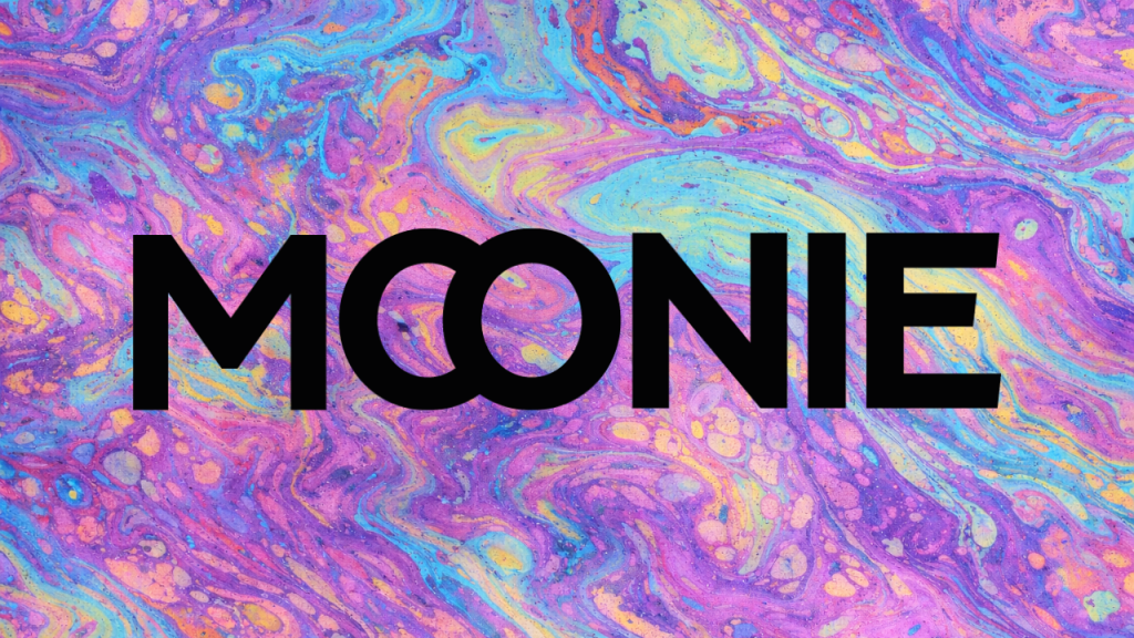 Moonie case study — D&G Consultancy